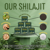 RareHerbz Shilajit 30g Resin